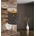 Globo 15229W