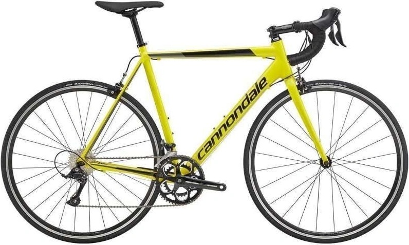 Cannondale optimo 2019 online