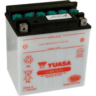 Yuasa Yumicron 12V 30 Ah