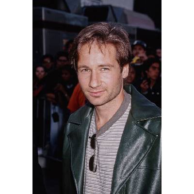 Vinnie Zuffante Plagát, Obraz - David Duchovny, 26.7 × 40 cm