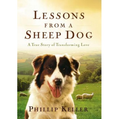 Lessons from a Sheep Dog