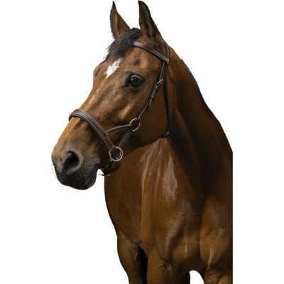 NORTON Sidepull PRO Confort havana – Zboží Mobilmania