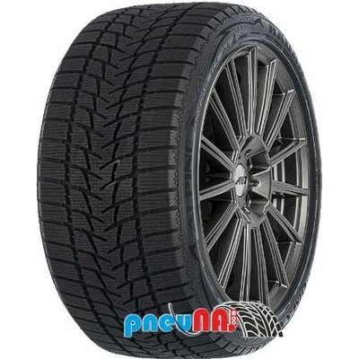 Radar Dimax Alpine 195/65 R15 91T