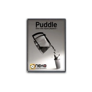 Puddle