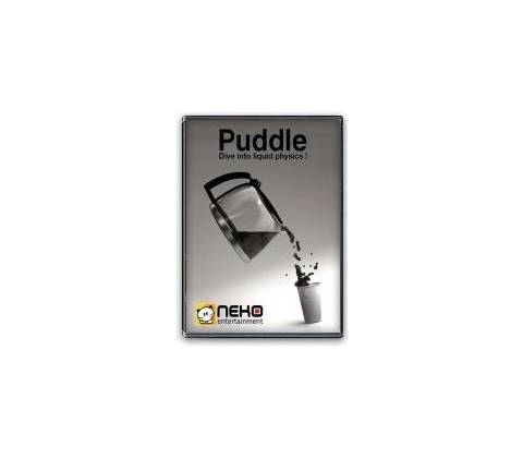 Puddle