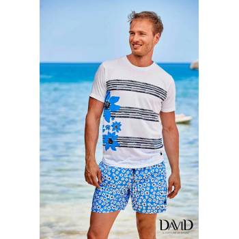 Image 1 of DAVID Тениска Arkos B11 DAVID