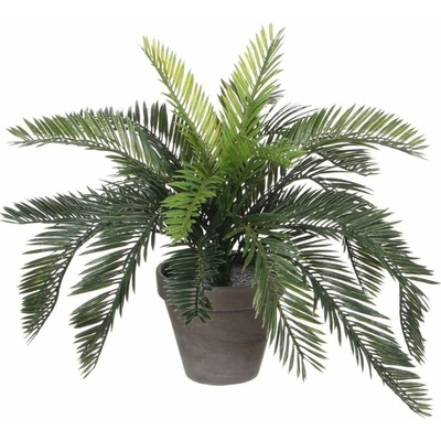 Umelá rastlina Palma cycas, 37 cm, zelená, 1044529