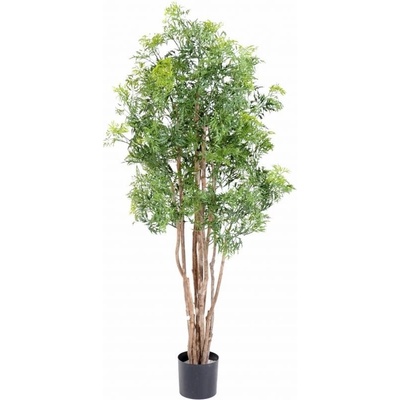 Umelý strom Aralia Ming Nitída, 160cm