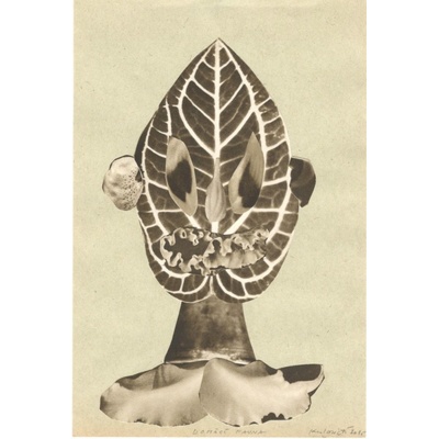 Michaela Kukovičová: Domácí Fauna VI