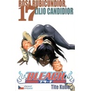 Bleach 17
