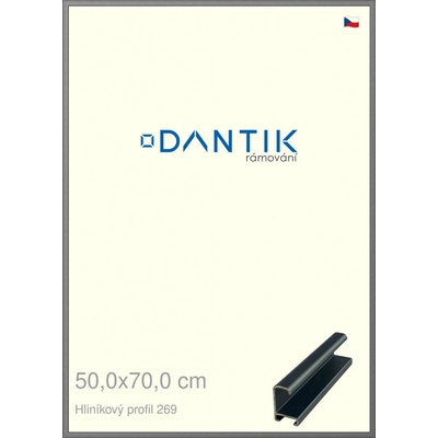 DANTIK rám na obraz 50 x 70 Platina matná