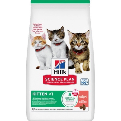 Hill's Feline SP Kitten Salmon 1,5 kg