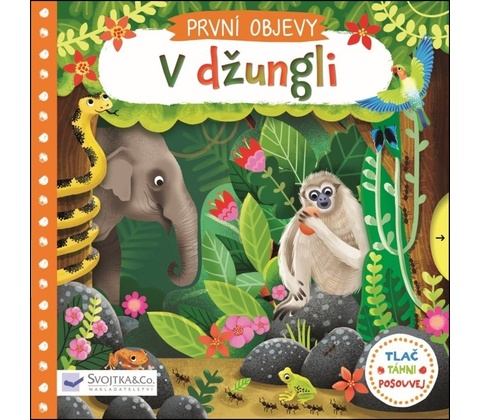 V džungli