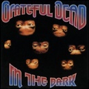 IN THE DARK
