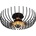 Asir AS0048