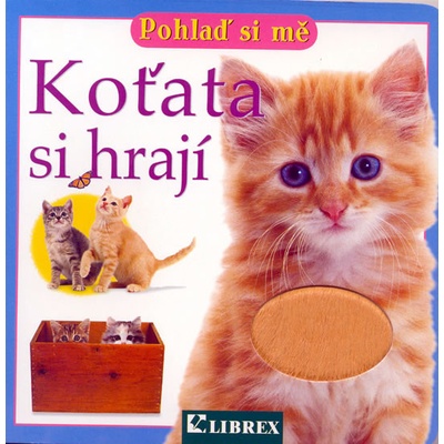 Koťata si hrají