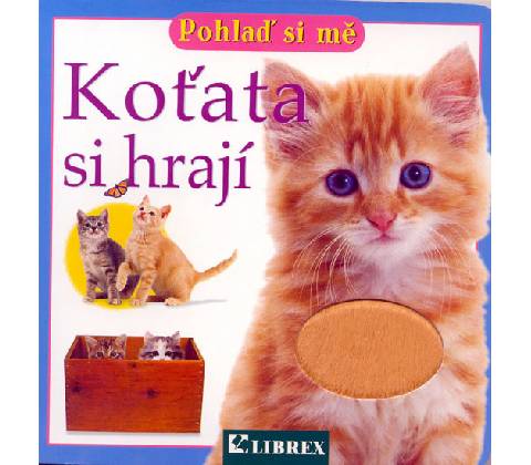 Koťata si hrají