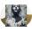 CONVERGE - JANE LIVE LTD. LP