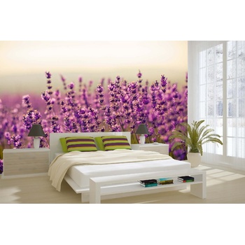 DIMEX ART s. r. o Самозалепваща се флизелинова фототапета красива лавандула 375 x 250 см