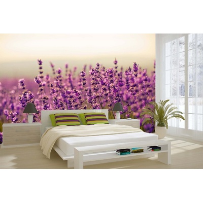 DIMEX ART Самозалепваща се флизелинова фототапета красива лавандула 375 x 250 см