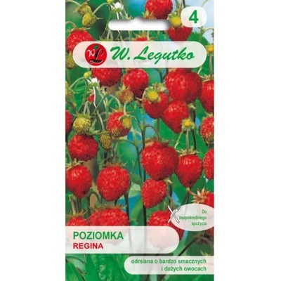 W. Legutko Регина дива ягода - червена, едър плод