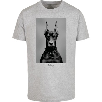 Mister Tee Мъжка тениска в сиво Mister Tee DawgUB-MT3039-00431 - Сив, размер S