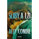 Sliby a lži