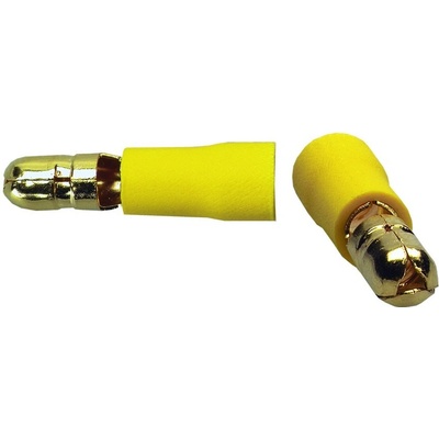 Sinus Live RS-6.0