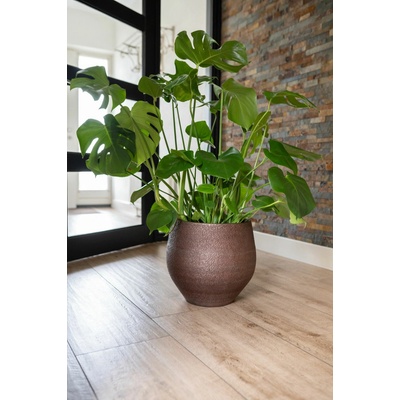 Ter Steege Noor D32 H30 velvet brown