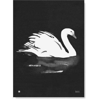 Teemu Järvi Plakát s motivem labutě Swan 50x70