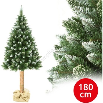 ELMA Коледна борова елха на стъбло, височина 180 см (ea0053)