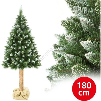 ELMA Коледна борова елха на стъбло, височина 180 см (ea0053)