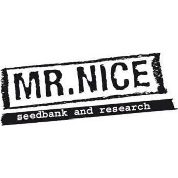 Mr. Nice Early Haze semena neobsahují THC 15 ks