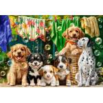 Castorland - Puzzle Puppies, Laundry and Bird Antics - 500 piese