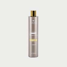 Hair Company Inimitable Style Density shampoo 250 ml