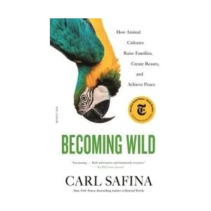 Becoming Wild: How Animal Cultures Raise Families, Create Beauty, and Achieve Peace | Safina, Carl (ISBN: 9781250787613)