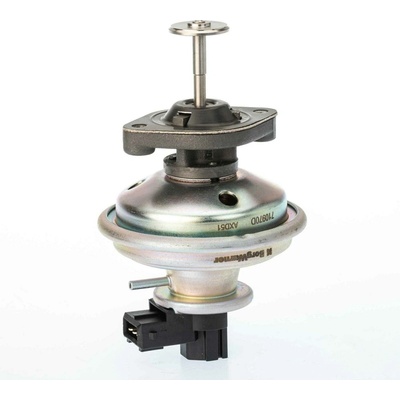 AGR-Ventil BorgWarner 710970D
