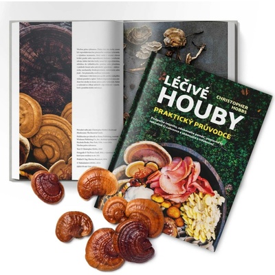 Léčivé houby – Praktický průvodce
