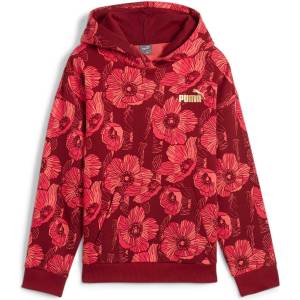 PUMA Суитшърт ESS+ Class Act AOP Hoodie FL G (68176913)