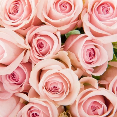 Biofresh glycerínové mydlo Ruža štvorec Rose of Bulgaria 70 g