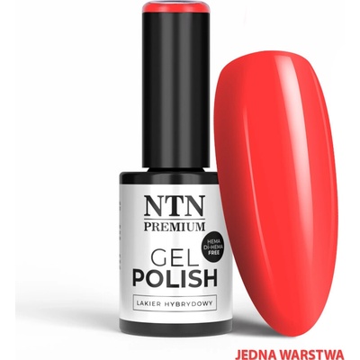 Ntn Premium Limited Edition gél lak reds 573 5g