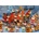 Bluebird Puzzle - Puzzle Ruyer: Ready for Christmas Delivery Season - 1 000 piese