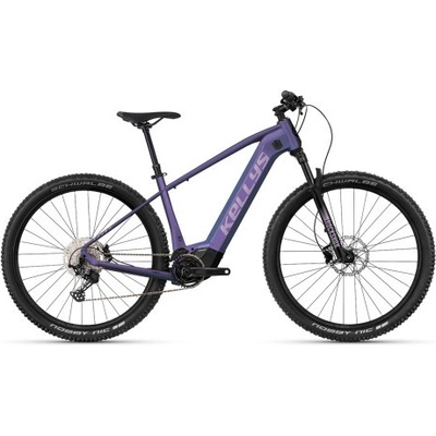 Kellys Tayen R90 P 2025