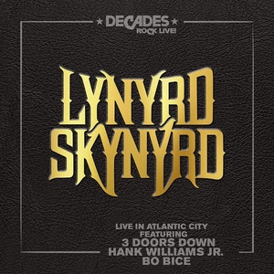 Mystic Production Lynyrd Skynyrd: Live In Atlantic City - CD+DVD (053983)