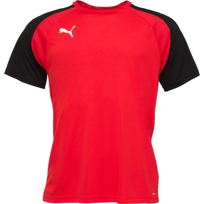 Puma teamGLORY Jersey 70501701
