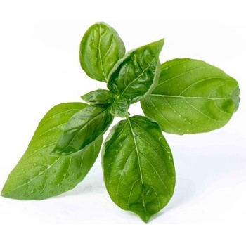 Veritable Вложка за семена Lingot основни билки босилек (lingot-bazylia)