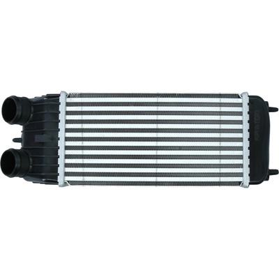 Chladič plniaceho vzduchu KAMOKA 7750068