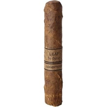 Oscar Valladares Leaf by Oscar Connecticut Robusto