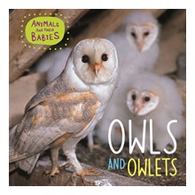 Animals and their Babies: Owls & Owlets Lynch AnnabellePaperback softback