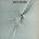 Can - Out Of Reach (LP) (5051083077019)
